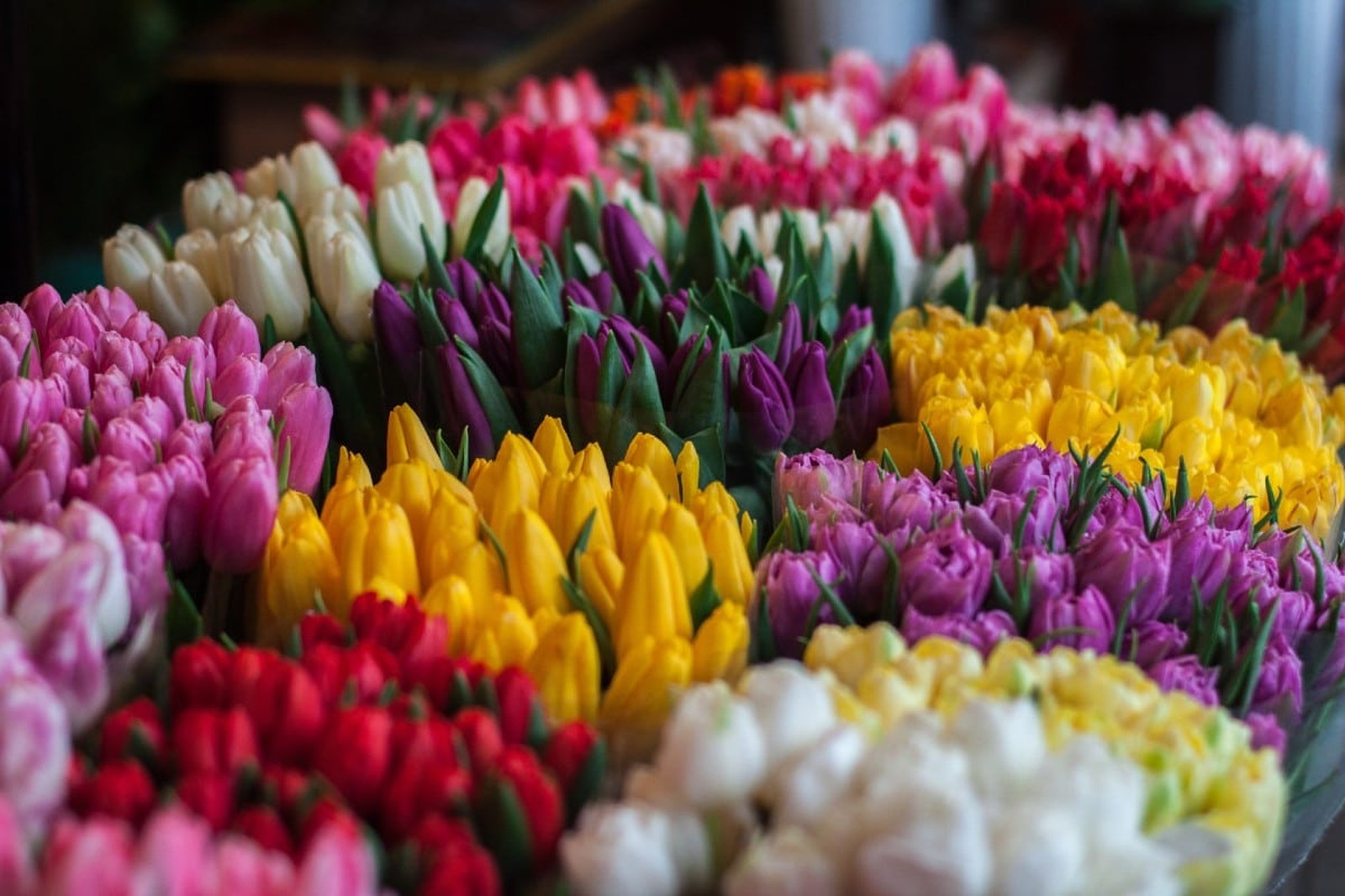 Bouquets de saison
